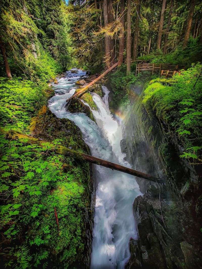 Hiking To Sol Duc Falls