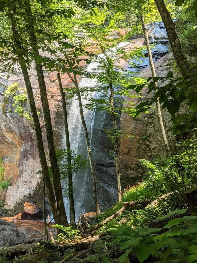 Hiking Trails And The Cullowhee Falls Adventure
