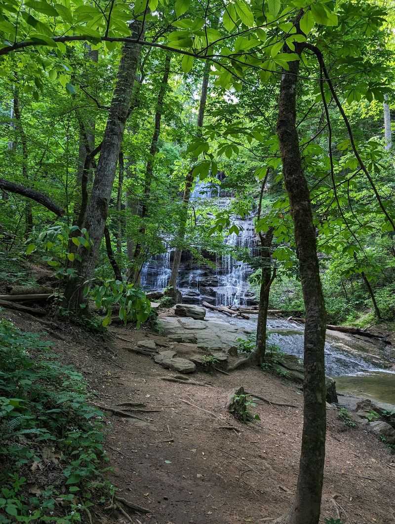 Hiking Trails Cross Bear Territory