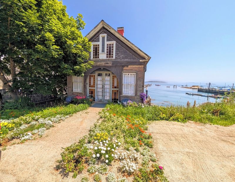 The Dramatic Beauty Of Each Season