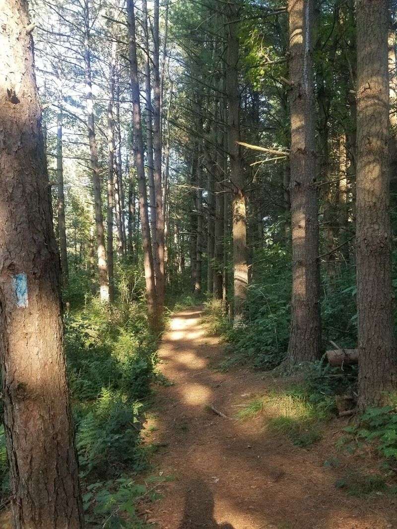 Hiking Trails For Every Skill Level Hiking Trails For Every Skill Level