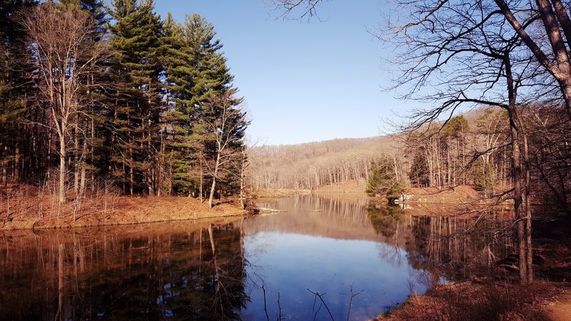 Hiking Trails For Every Skill Level Hiking Trails For Every Skill Level