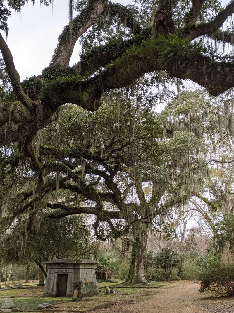 Hiking Trails Here Will Surprise Anyone Who Thinks Louisiana Is Flat