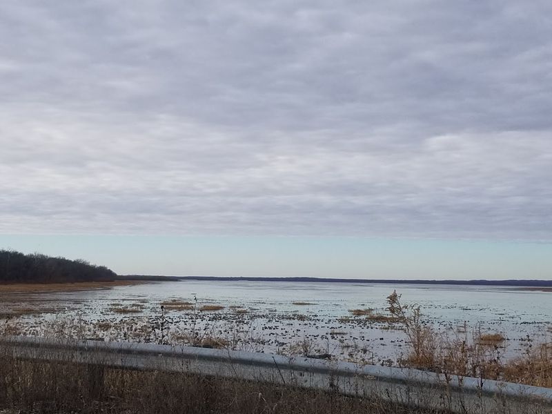 One Of Nature's Most Memorable Sounds