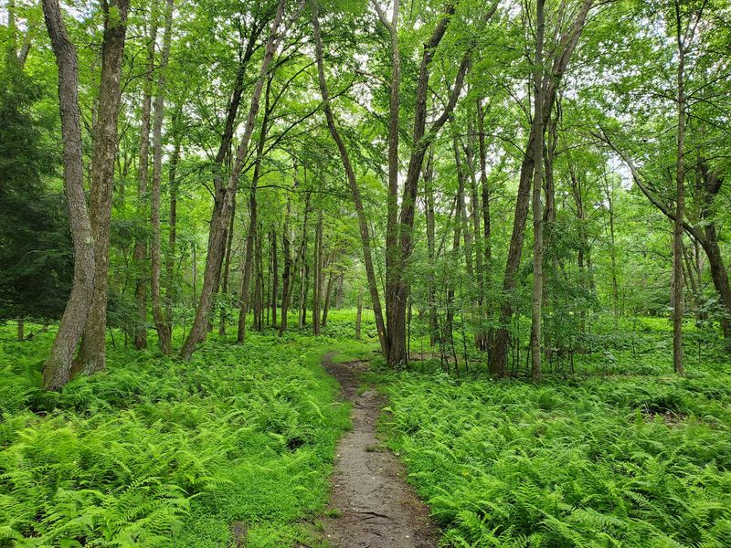 Hiking Trails Put You Deep In Elk Territory