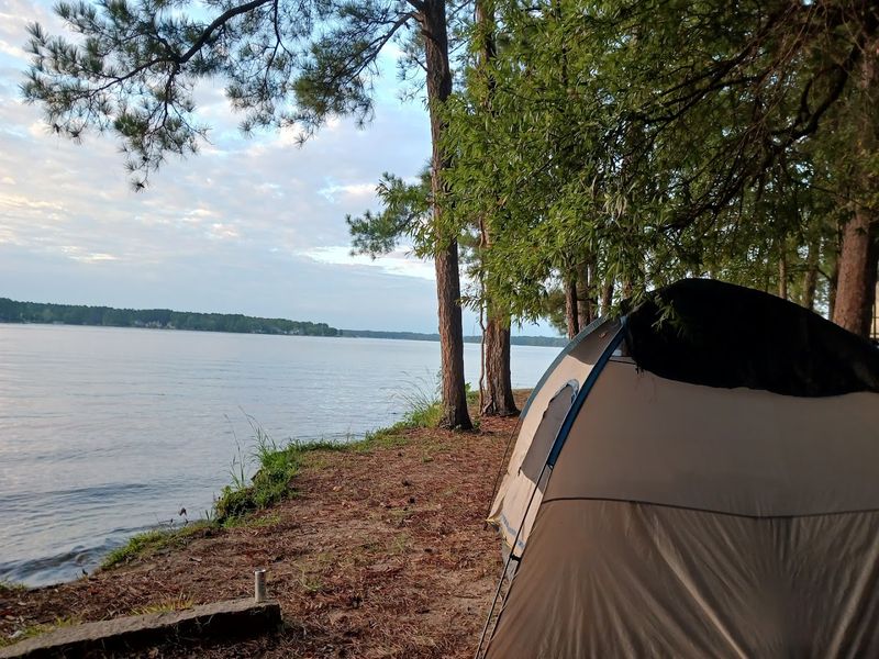 Picnicking With A View 