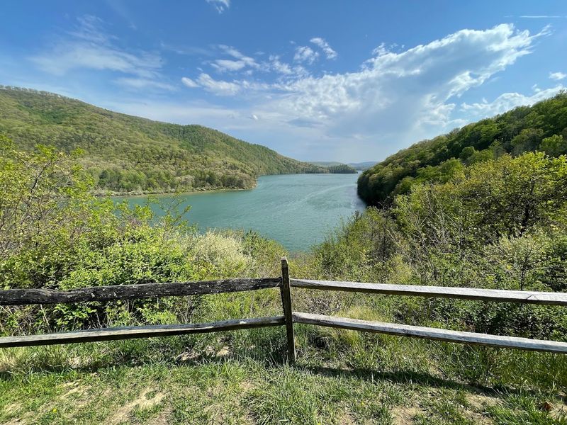 Hiking Trails That Deliver Views You Will Actually Want to Brag About