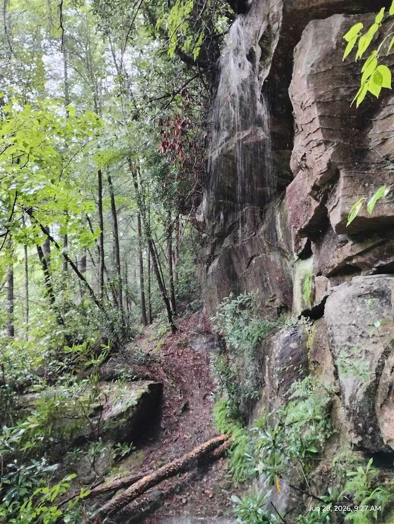 Hiking Trails That Lead To Stunning Hidden Spots