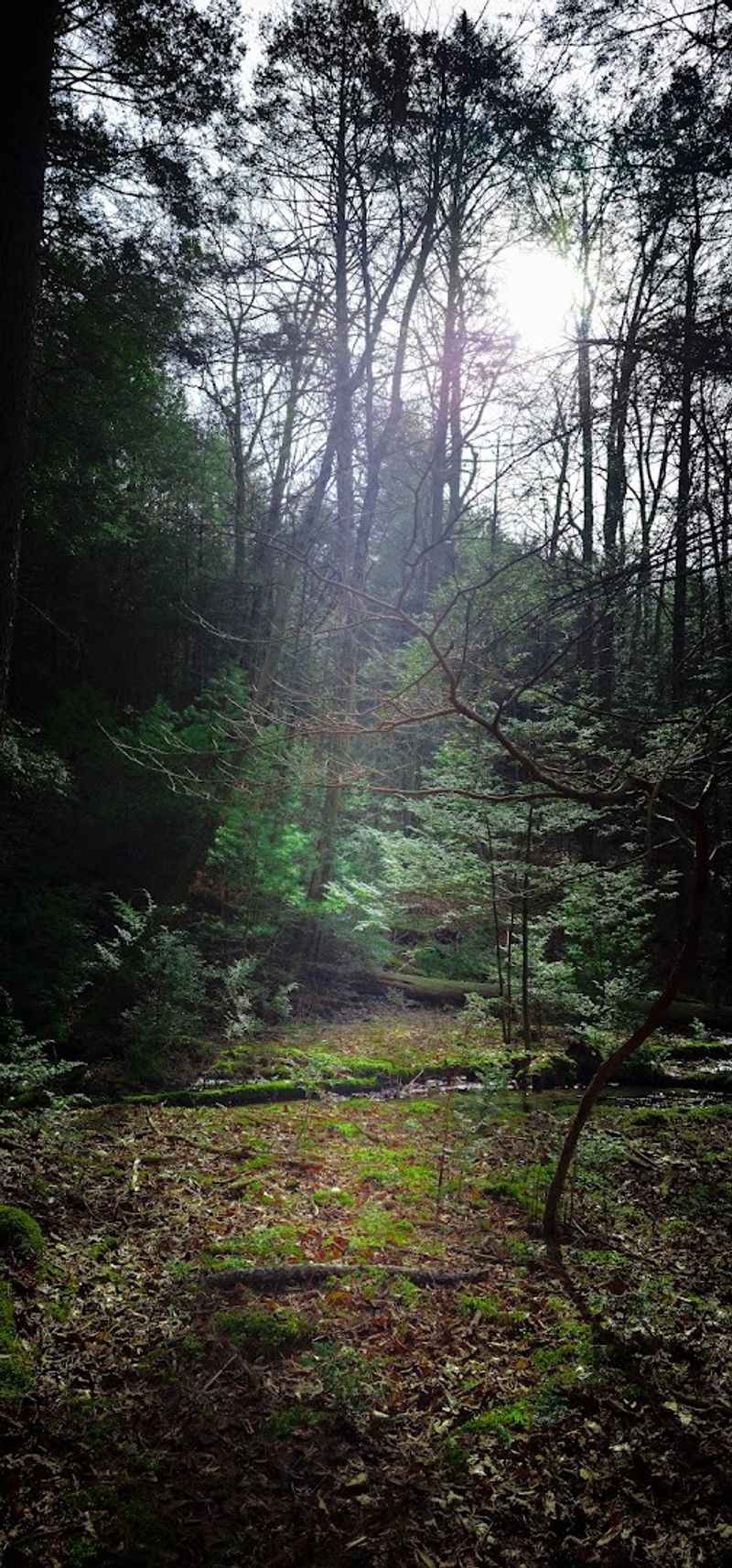 Hiking Trails That Reward The Curious