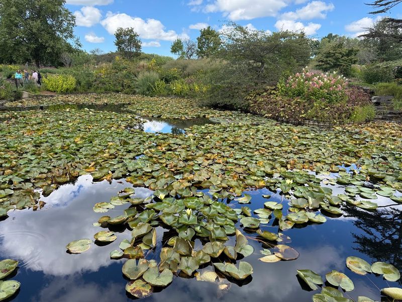 Corning Lake and the Water Features That Calm Everything Down