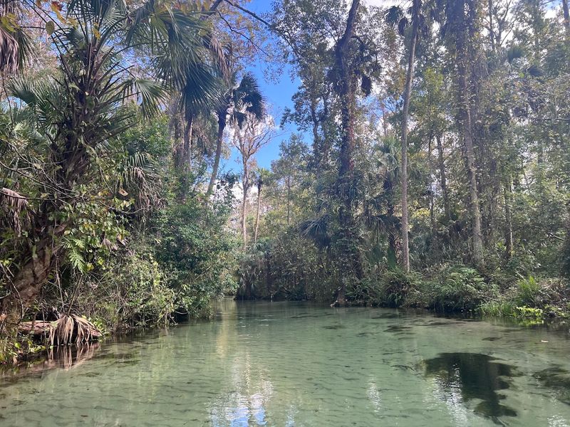 Wildlife Encounters That Will Stop You In Your Tracks