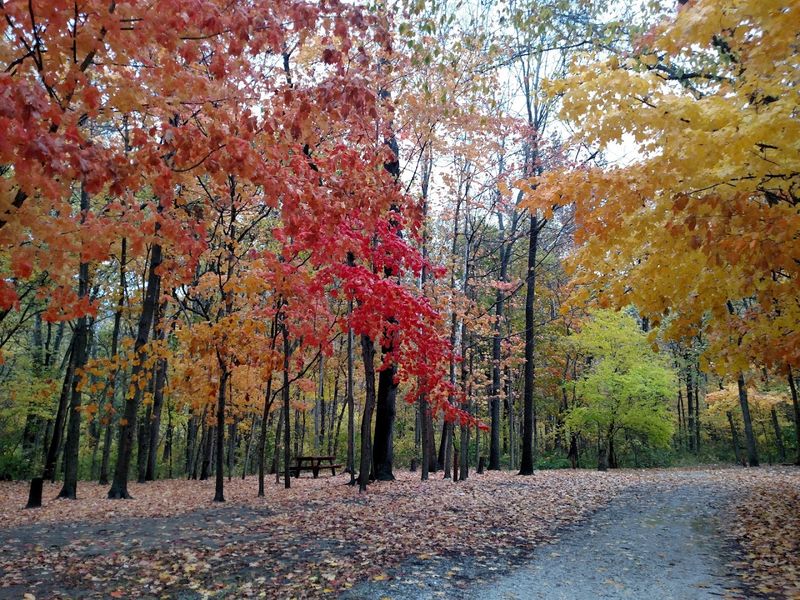 Hiking Trails Through Limestone Cliffs And Scenic Views