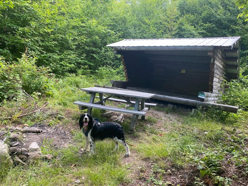 Camping At Sandbank Stream