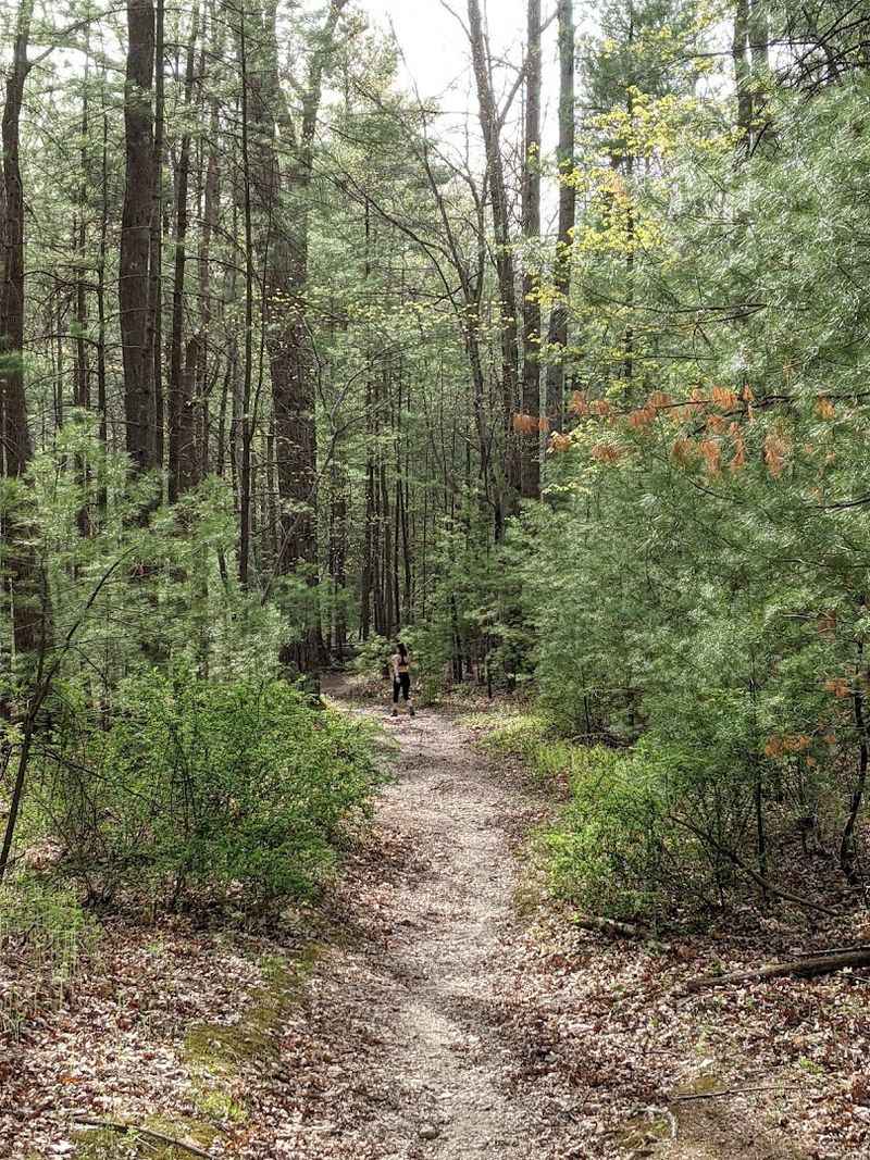 Mountain Biking Opportunities