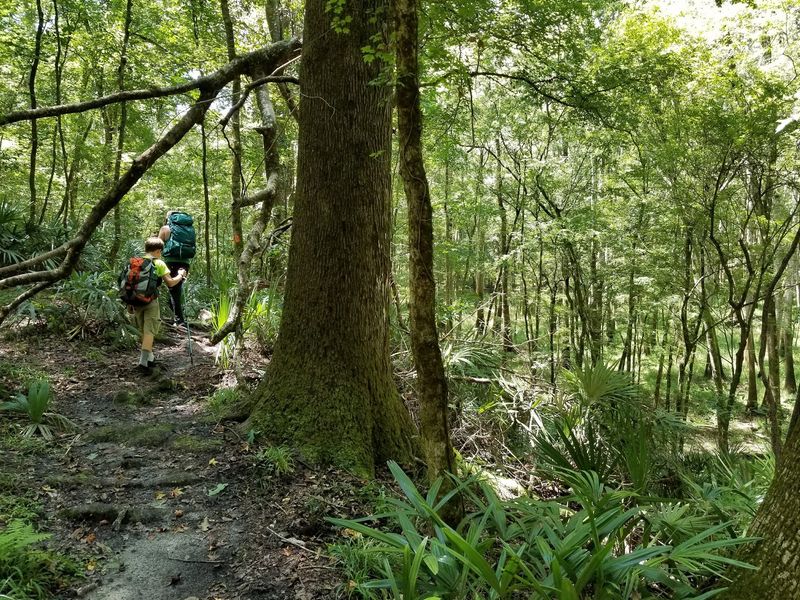 Hiking Trails With Real Ups And Downs