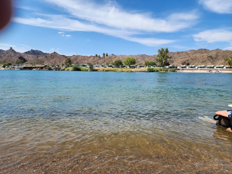 The Desert Garden And Tortoise Habitat