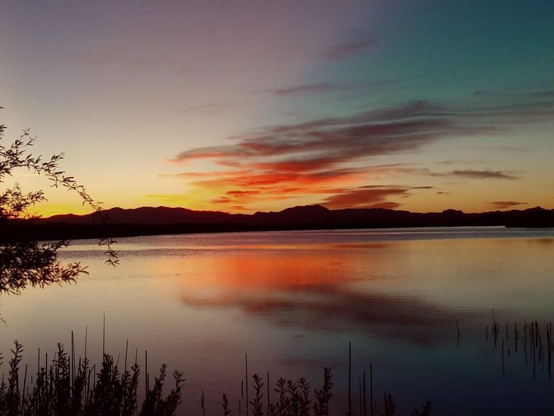 Camping Under A Sky Full Of Stars