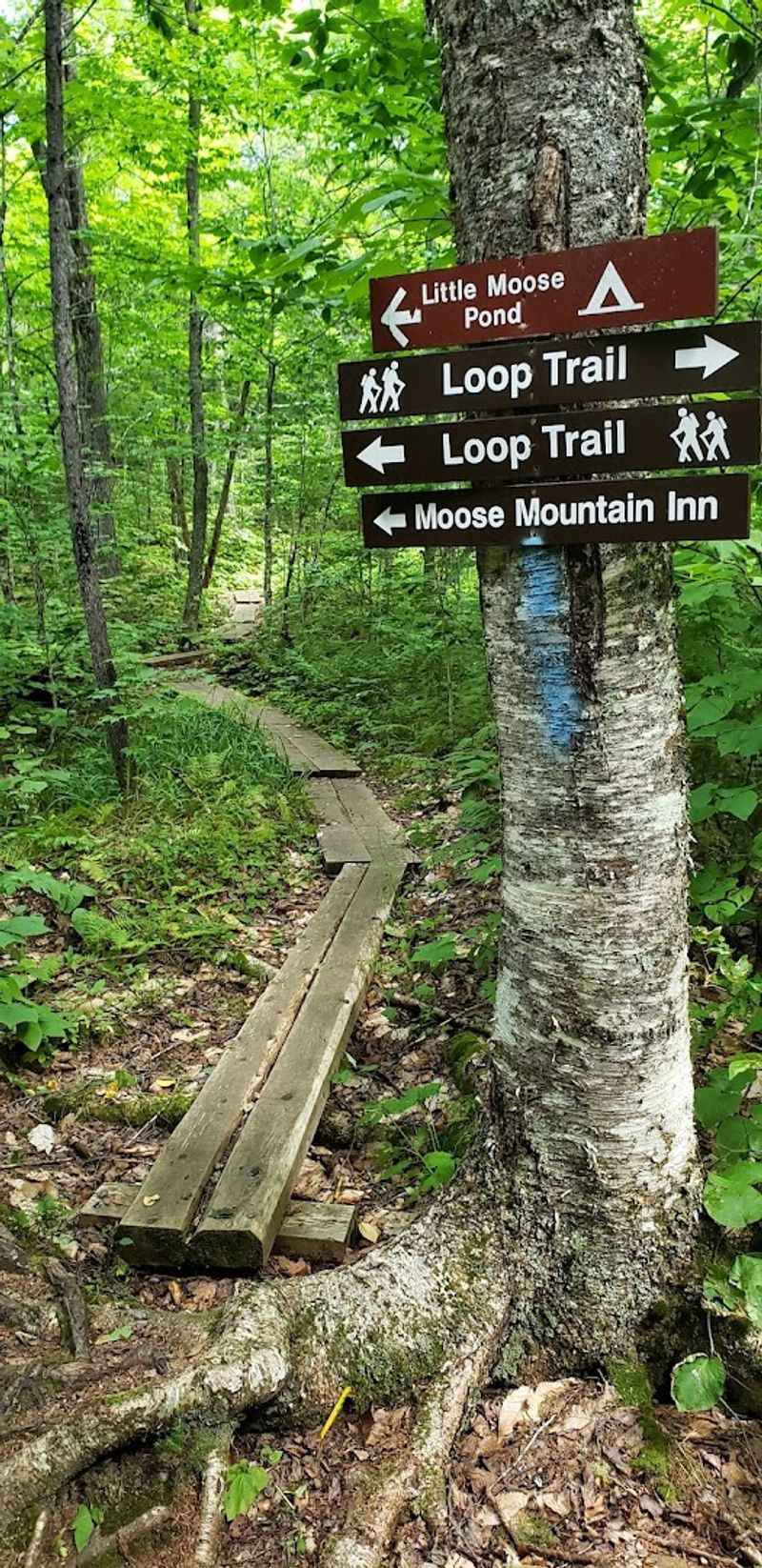 Hiking Trails With Views 