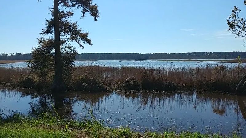 Hiking Trails Worth Every Step