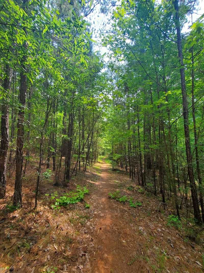 Hiking and Biking Trails Through Beautiful Lakeside Scenery