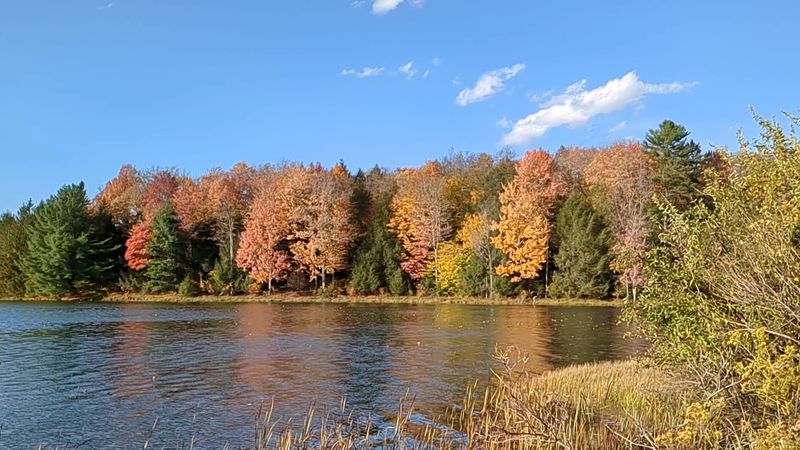 Hills Creek State Park Beach, Wellsboro
