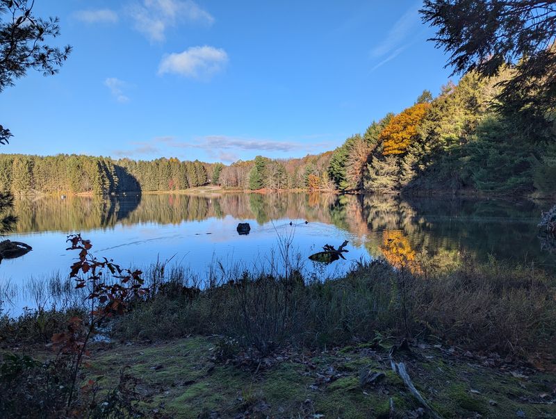 Hills Creek State Park, Tioga County, Pennsylvania