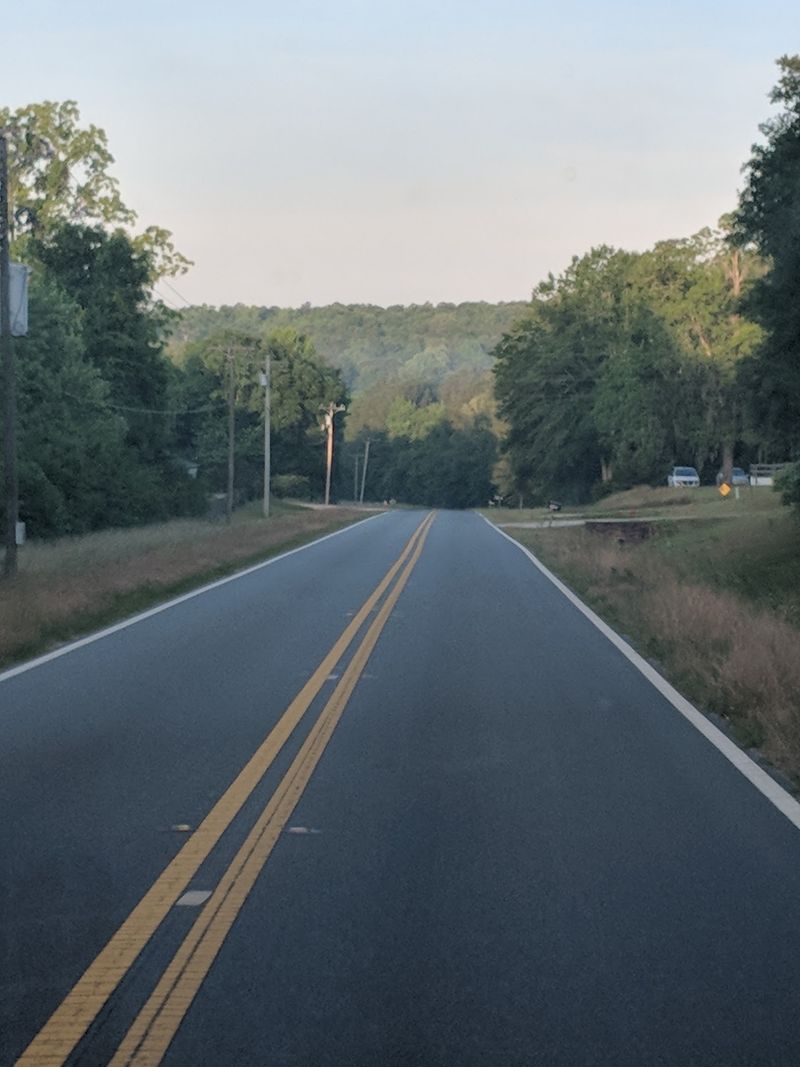 Hills, Pines, And A Lake Full Of Bass