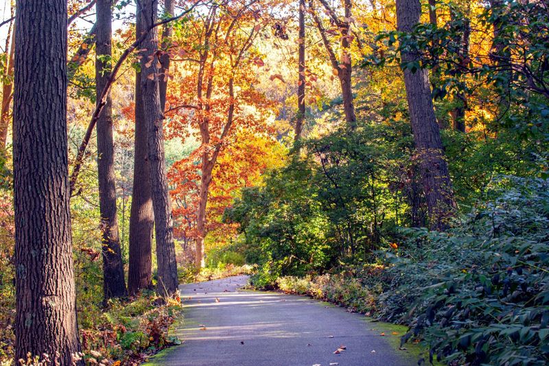 Hills That Give Your Legs a Workout