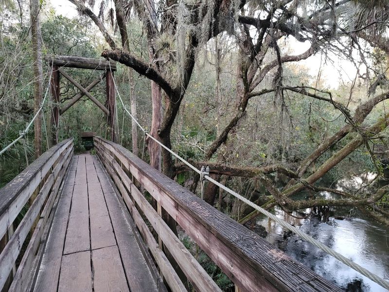 Hillsborough River State Park River Rapids Trail, Thonotosassa