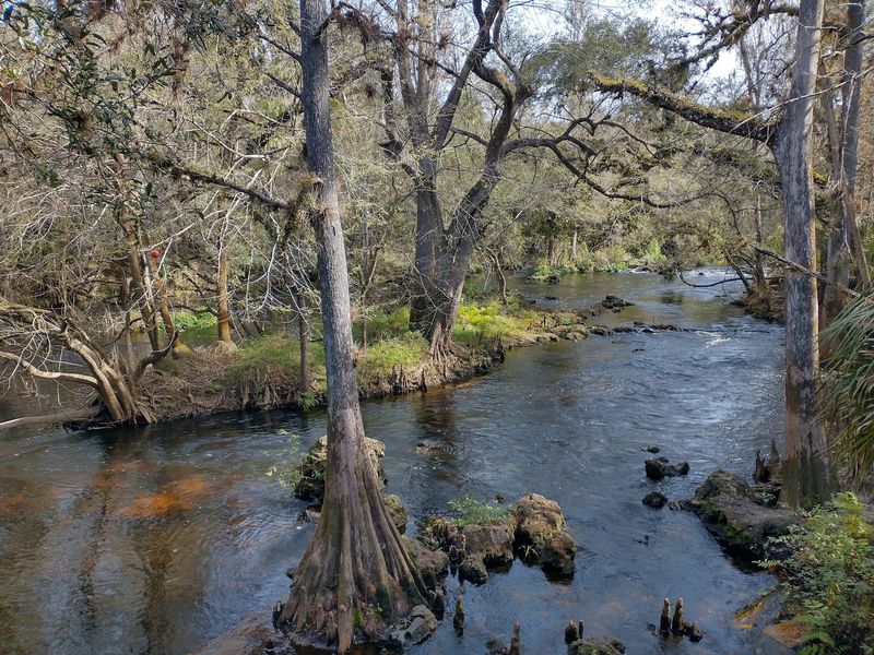 Hillsborough River State Park, Thonotosassa