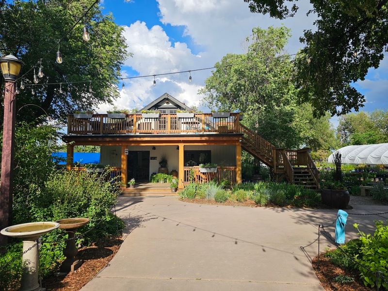 Hillside Coffee: The Café Colorado Springs Keeps Coming Back To