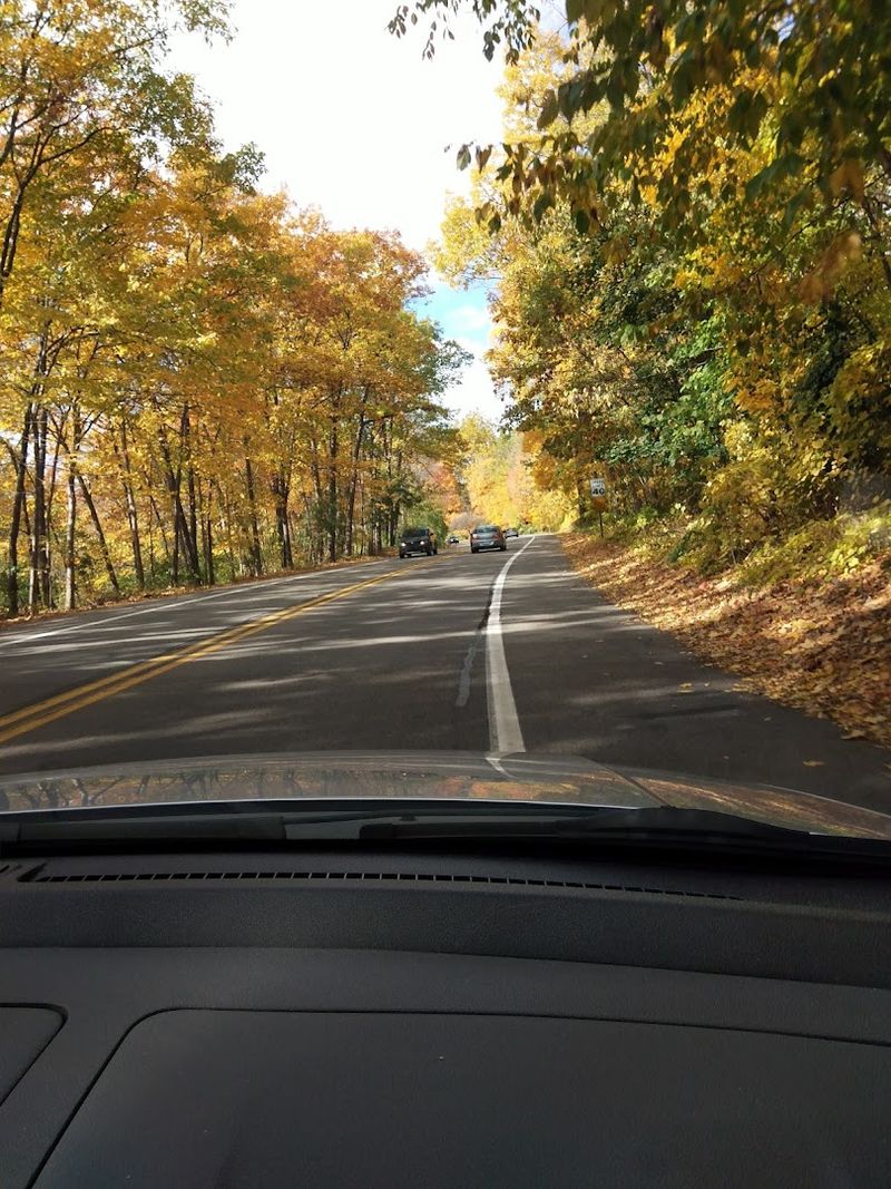 Hines Drive Park