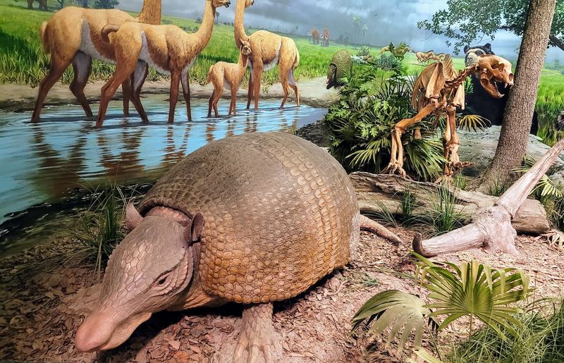 Snooty Turned 69 Just Before His Passing