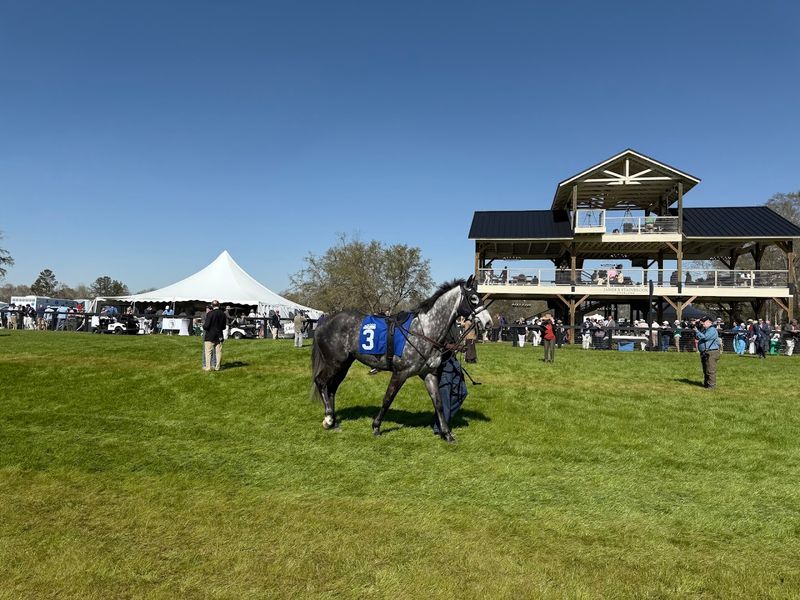 The Aiken Triple Crown Is A Spring Tradition Worth Planning Around