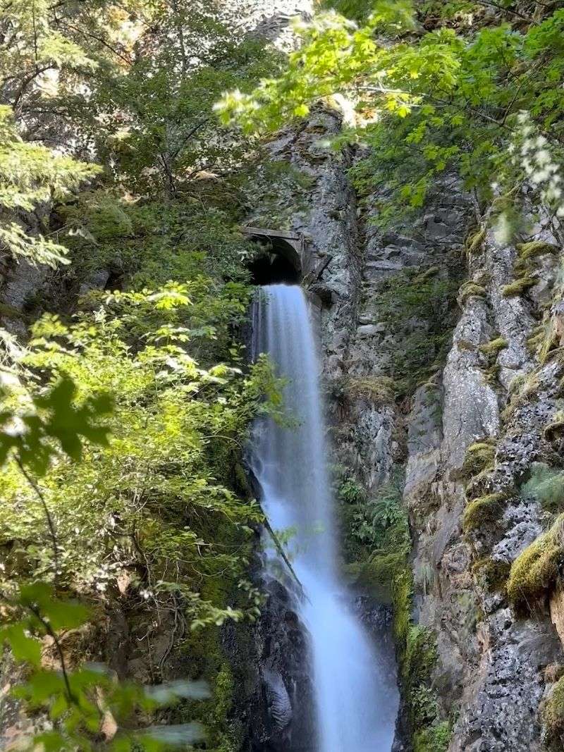 The Gorge’s Quirky Plot Twist