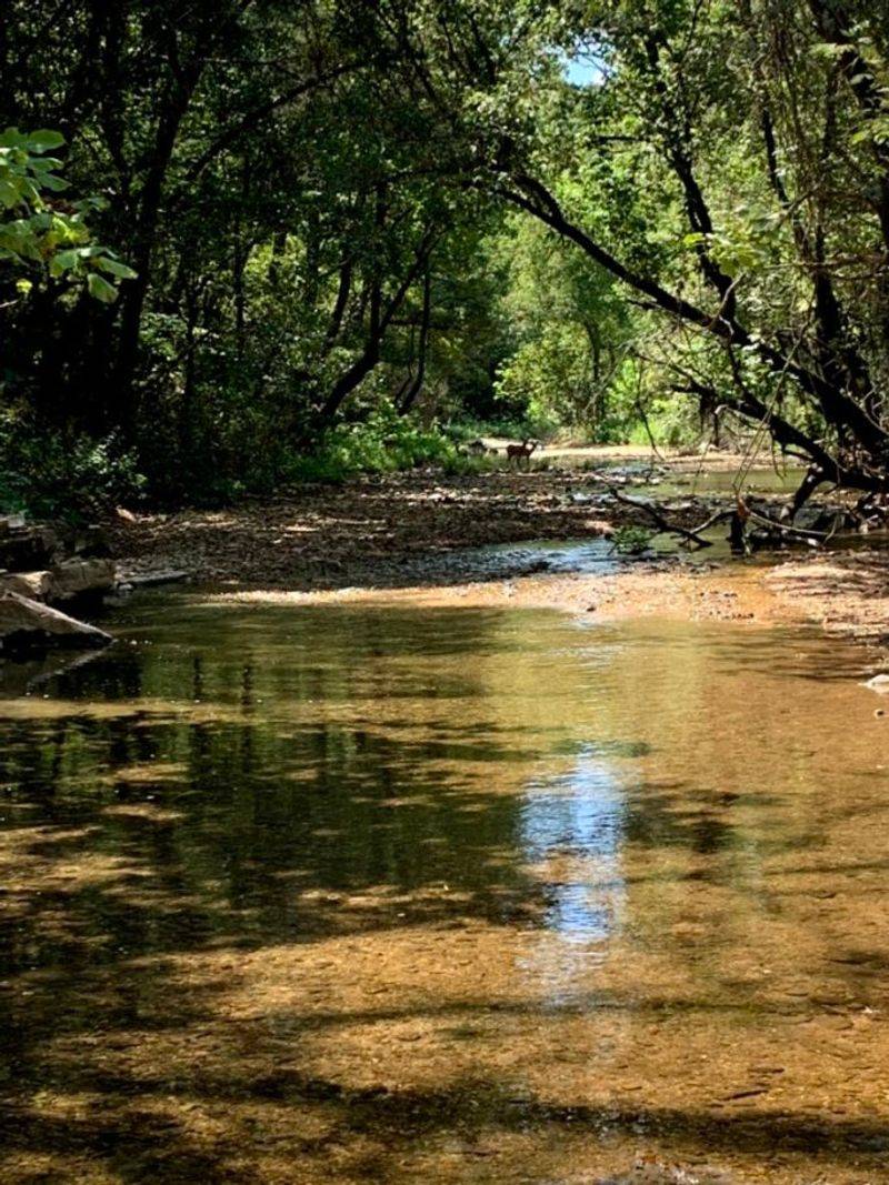 Historic Paths Through Rush Valley
