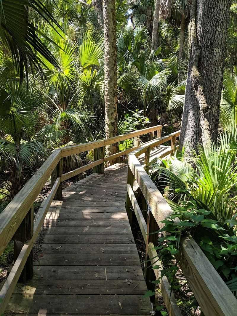 Six-Mile Hiking Trail Through Wilderness