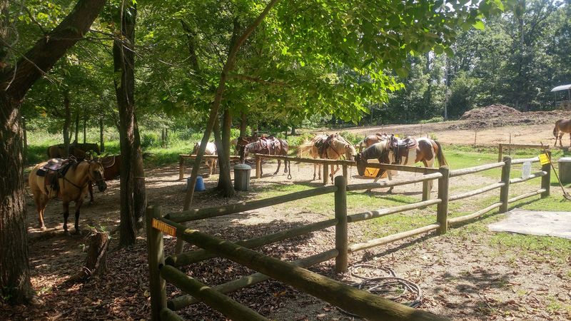 Mountain Harbor Riding Stables, Mount Ida