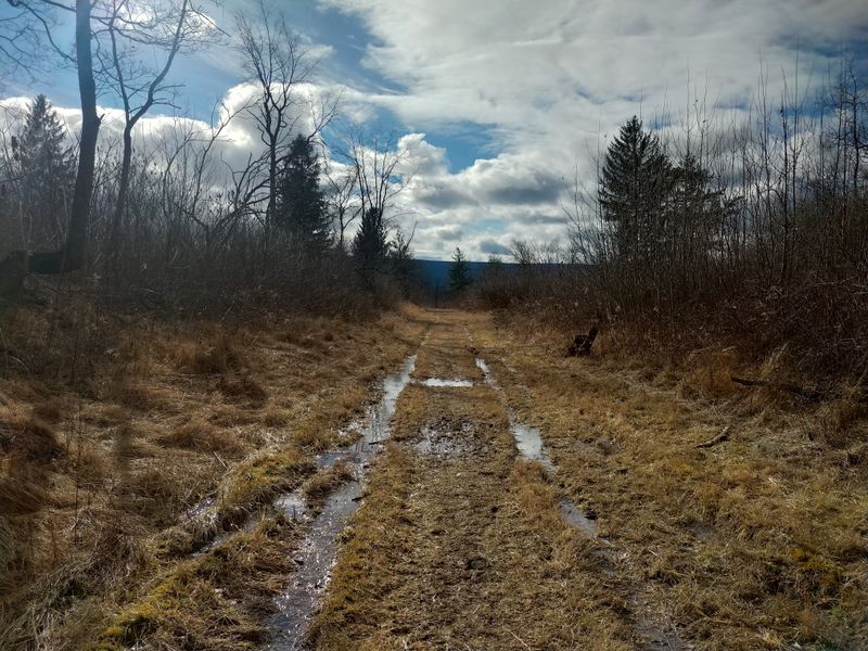 Visiting Information And Access Details