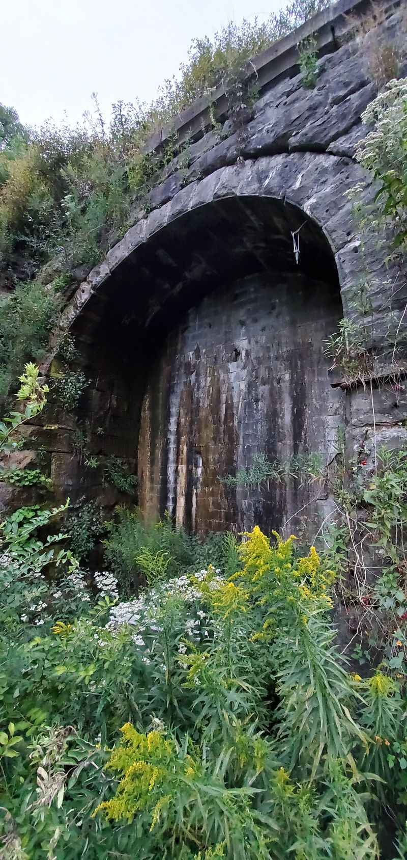 The Tunnels Themselves