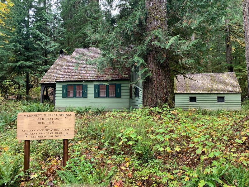 History Baked Into the Timber
