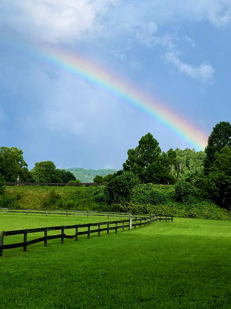 Seasons Paint Different Pictures