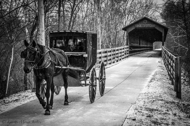 Seasonal Magic: When To Go