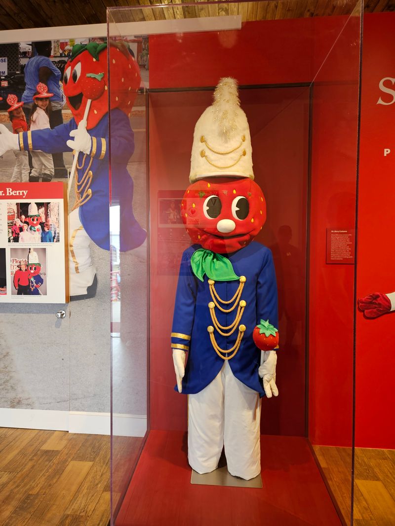 Art, Quilts, And Blue Ribbons