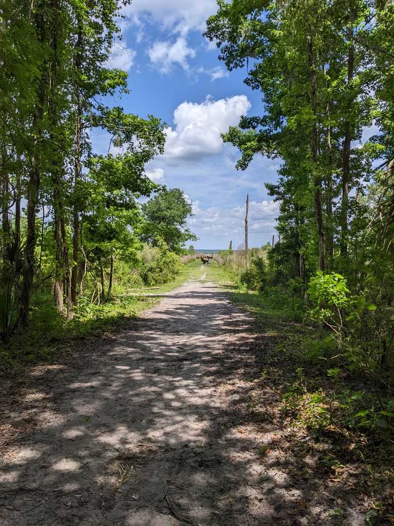 Trail Layout, Distance, And Difficulty