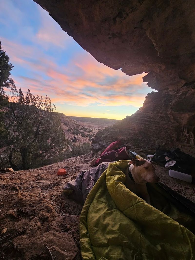 Camping Under Stars With Zero Light Pollution