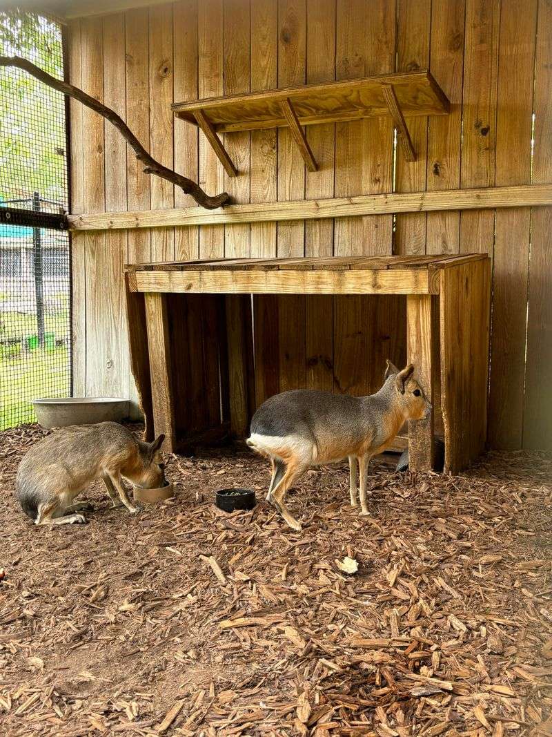 Decor, Ambiance, And Farm Setting