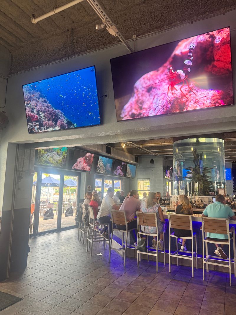 Decor, Ambiance, And That 2,000 Gallon Aquarium
