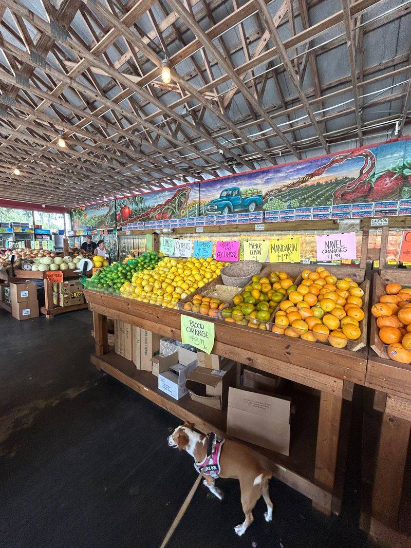 Decor, Layout, And That Florida Farm Vibe