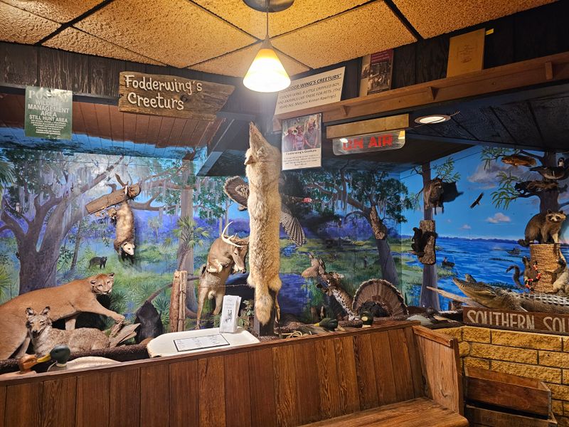 Decor, Ambiance, And Setting